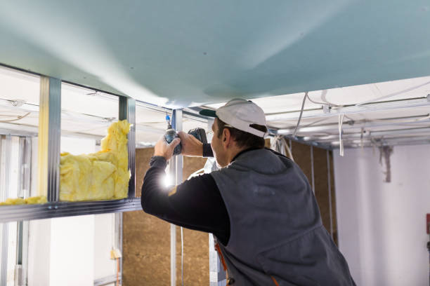 Best Insulation Removal Services  in Arrowhead Beach, NC