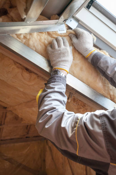 Best Local Insulation Services  in Arrowhead Beach, NC