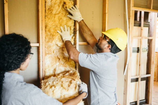 Best Residential Insulation Services  in Arrowhead Beach, NC