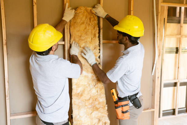 Best Insulation Removal  in Arrowhead Beach, NC