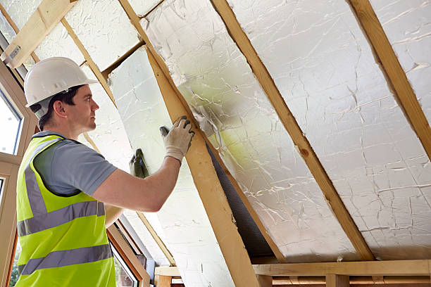Best Insulation Inspection Services  in Arrowhead Beach, NC